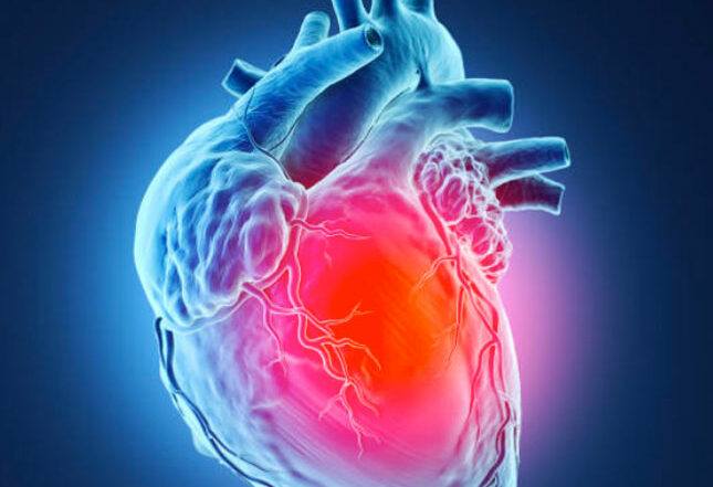 Red And Blue Heart Ct Scan Illustration