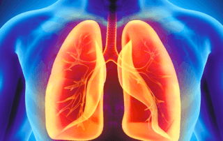 Blue Illustration Of Human Body Interior With Lungs And Airway In Red And Orange