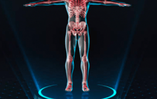 Bone Density Test Illustration