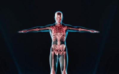 Illustration Of Full Body Medical Scan