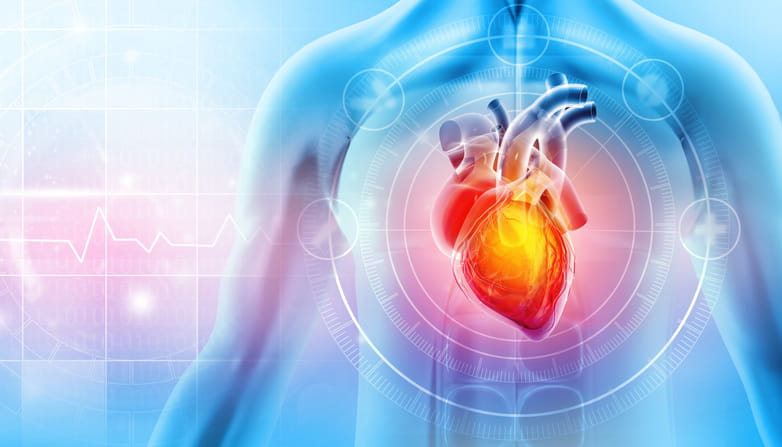 A Graphic Showing A Heart Indicating Heart Disease. 